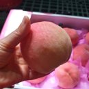 신태인목장 이미지