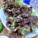 오리랑돼지랑 이미지