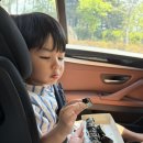 미공개 아인이 일상
