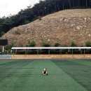 웅상체육공원 축구장 이미지