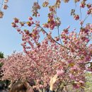 마리아케이글로벌 이미지