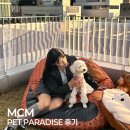 오&Pet | MCM HAUS PET PARADISE 엠씨엠 AW25 플래그십 스토어 펫 파라다이스 방문 후기