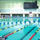 탄천종합운동장(체육회관) 이미지