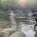 청년피자인월지리산점 이미지