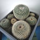 연월농장 이미지