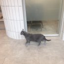 리봄동물의료센터 이미지