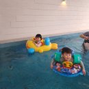 보담풀빌라 | 서산 해미 감성 숙소, 독채 풀빌라에서 두가족 만족 스테이 후기