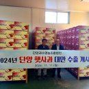 단양죽령사과 이미지