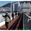 신선공원 이미지