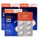 영진약품(주) 이미지