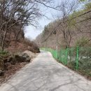 초입새 계곡 이미지