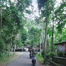 [인도네시아]발리 민속 마을.. 이미지