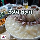 01-6 동구 | 울산 동구 일산지 회센터, 오션뷰 있는 가성비 좋은 현지인 맛집