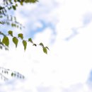 충주호 캠핑월드 이미지