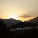 용문식당 이미지