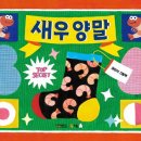 현대양말