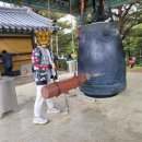 양양 비오는날 코스 추천 다이소 우비부터 샤브샤브, 낙산사까지 현실 루트