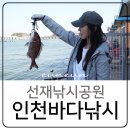 하늘낚시공원낚시터 | 인천바다낚시 선재낚시공원 방갈로 대부도낚시터 데이트 후기