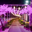 제7회 예산장터 삼국축제 이미지