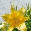 숲쟁이협동조합 이미지