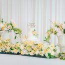 루 스테이 이미지