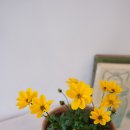 덕산꽃집