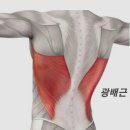 제이바디짐 이미지