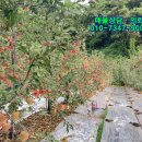 도산면보건지소 이미지