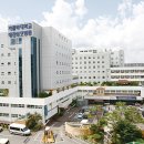 성모상회 이미지