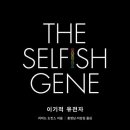 수지원 이미지