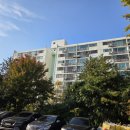 동은아이유치원 | 조용한 부촌? 도곡동 두번째 나홀로 임장기