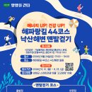 해파랑길 44코스 티스토리