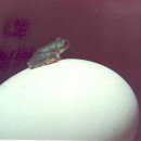 달맞이농장 이미지