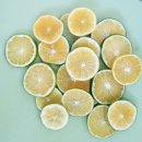 푸르메가살고있는곳 이미지