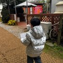 평화농장 | 김포 병아리 체험 농장, &#39;가농포레스트&#39; 방문 후기