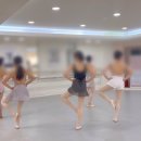 성인발레 입문,초급 이미지