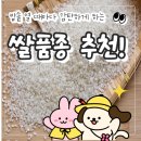 초산정 | 밥솥 열 때마다 감탄하게 된 쌀 품종 바꾼 후기