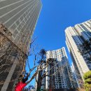 평촌어바인퍼스트 122동 앞 삼거리 | 놀이공원을 방불케 하는 어바인퍼스트 놀이터