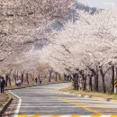 달라스치과의원 이미지