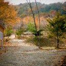 봉봉캠핑장 이미지