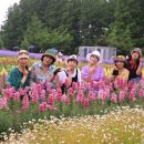 현주팜 Daum카페