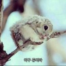 레드제이 이미지
