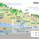 김영철 손세차장 이미지