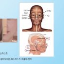 방배로34길 17 이미지