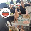 룽로그 지난일상