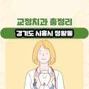 대경프라자(탑빌딩) | 경기도 시흥시 정왕동 교정치과 총정리