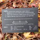 슬립픽서 이미지