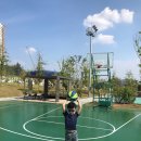 동탄 여울공원 농구장 이미지