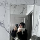 Toronto week 2 | Stussy | ROM | 아쿠아리움 | CN타워 | 나이아가라 폭포