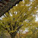 조계산도립공원 송광사 주차장 화장실 | [100대 명산] 61. 조계산 장군봉 선암사-송광사 등산코스 100대 명산